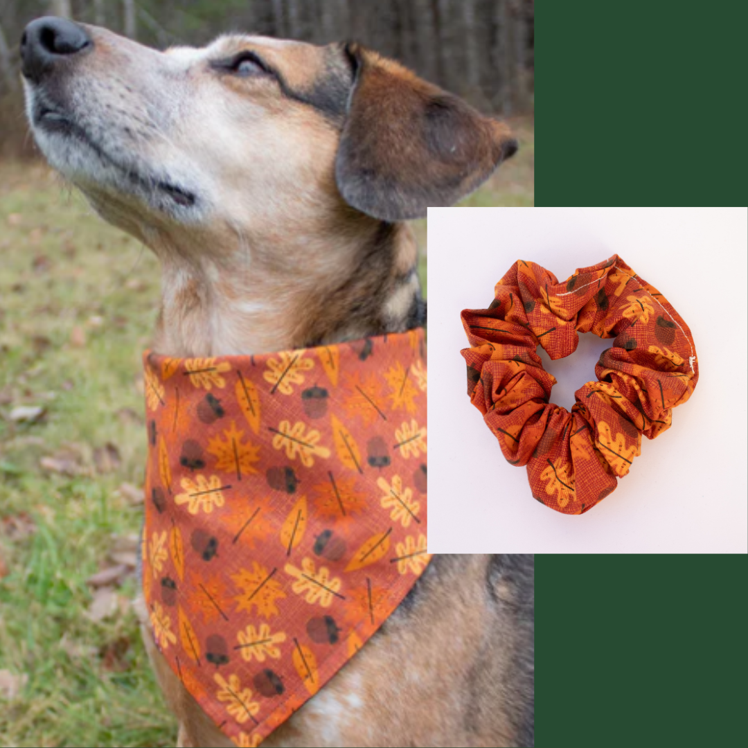 Falling Acorns Bandana Scrunchie Set