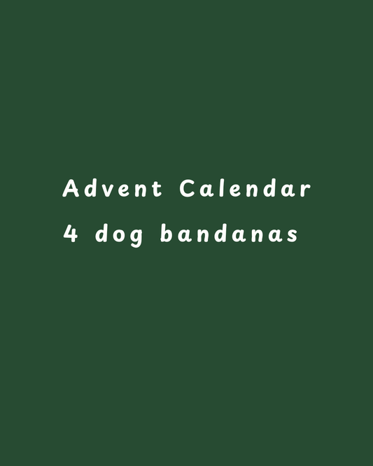 Advent Calendar - 4 bandanas