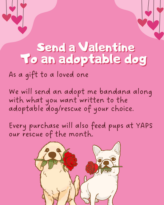 Send a valentine to an adoptable dog