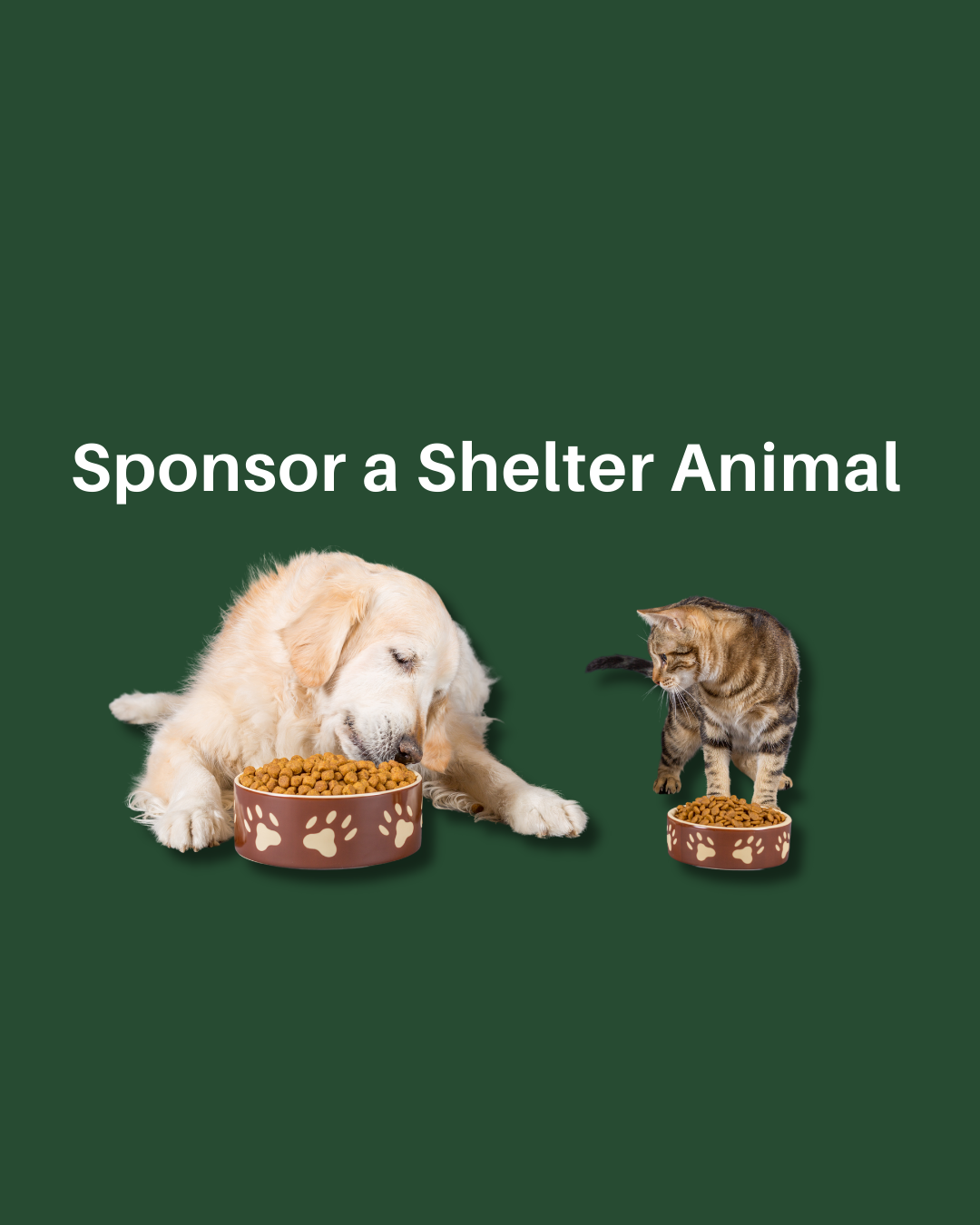 Sponsor a Shelter Pet