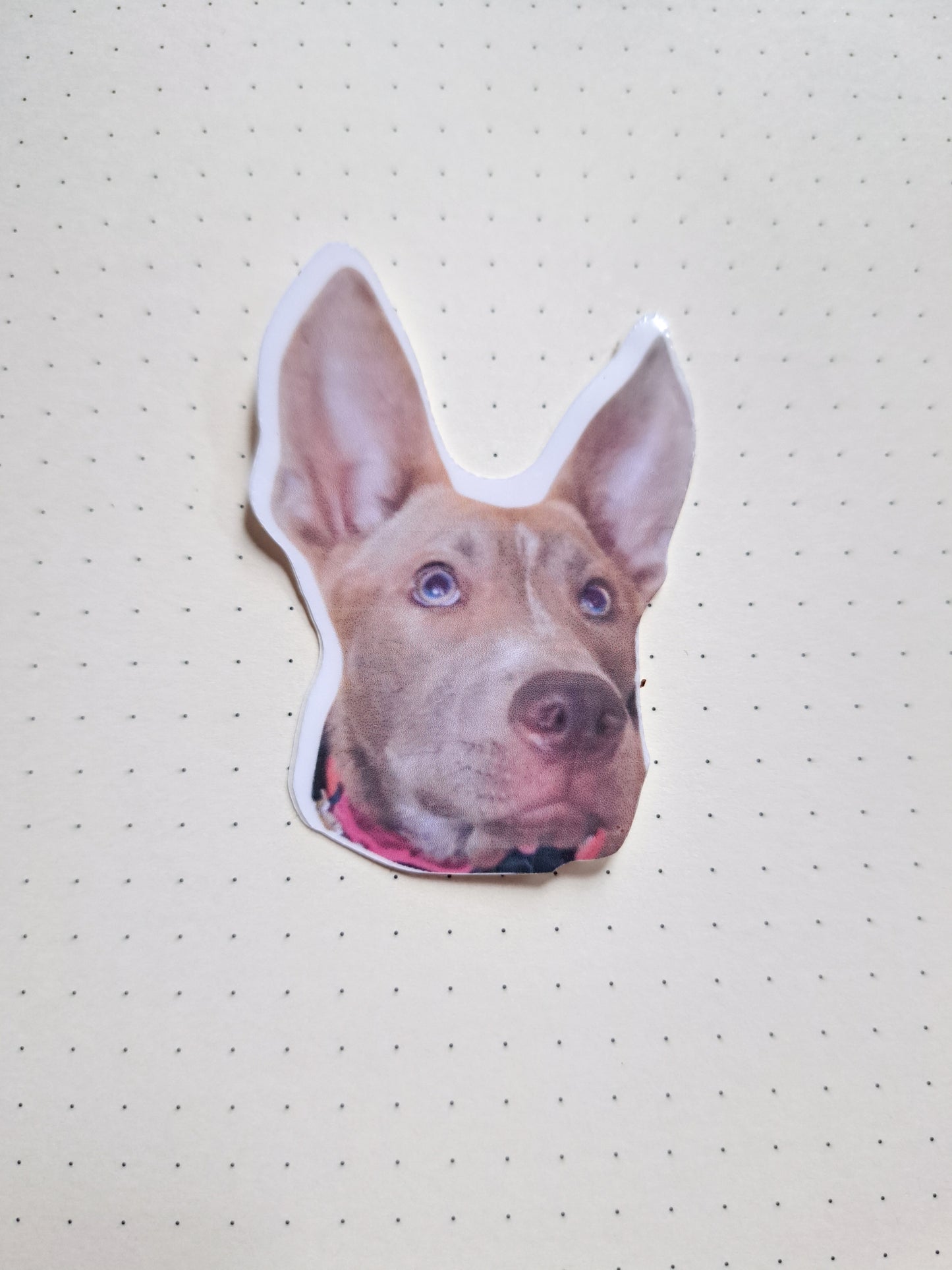 Custom pet photo sticker