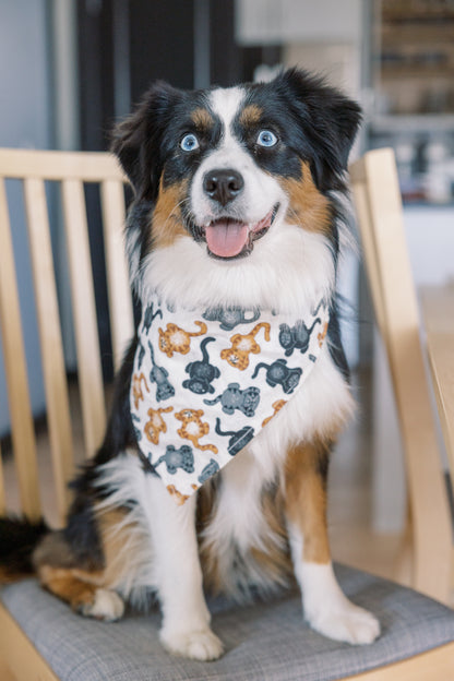 Kitty Sandbox Bandana - Cats Bandana