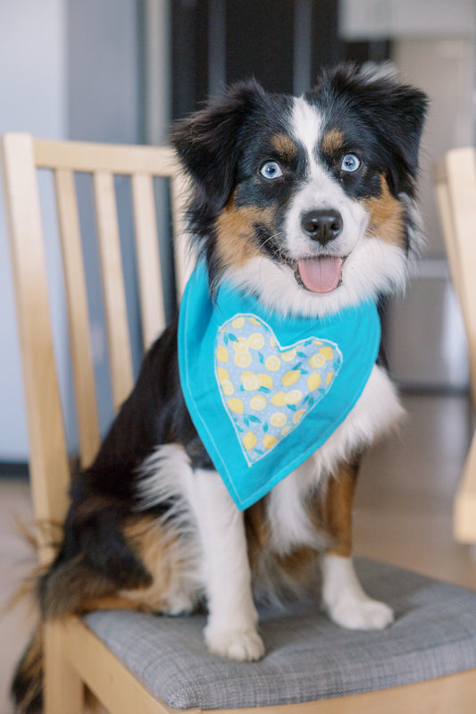 Patchwork Heart Bandana - Customizable