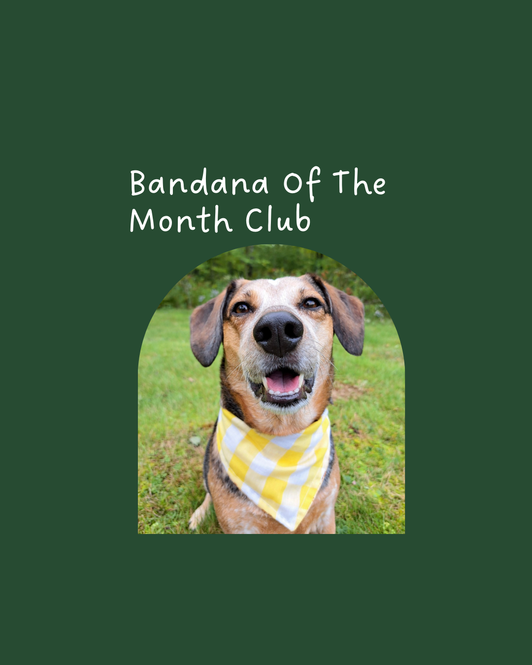 Bandana Of The Month Club