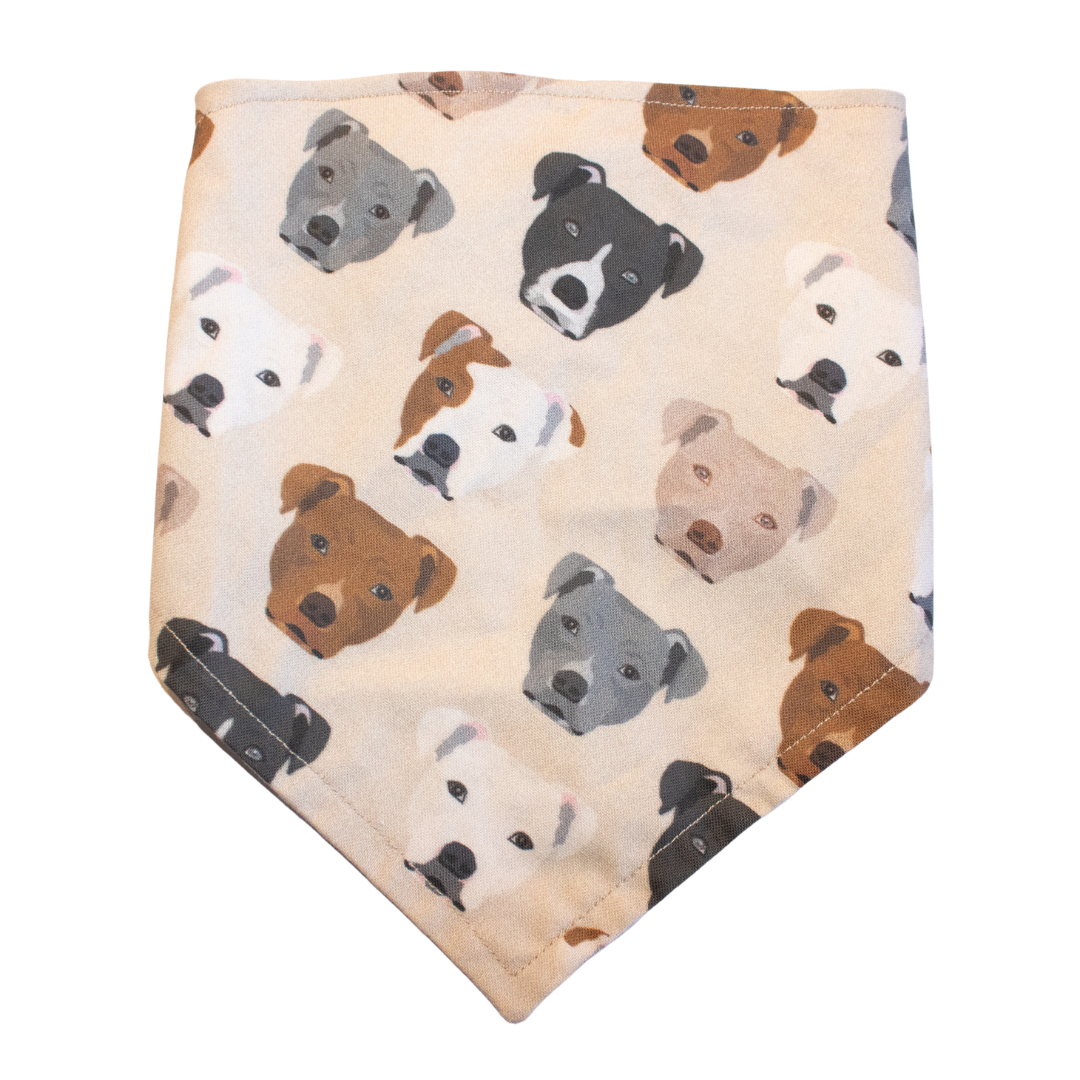 Show Me Your Pitties Bandana