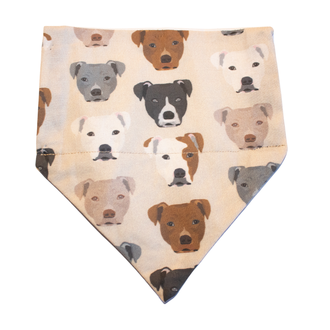 Show Me Your Pitties Bandana