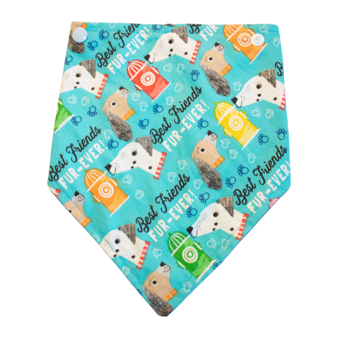 Best Friends Fur-Ever! Bandana