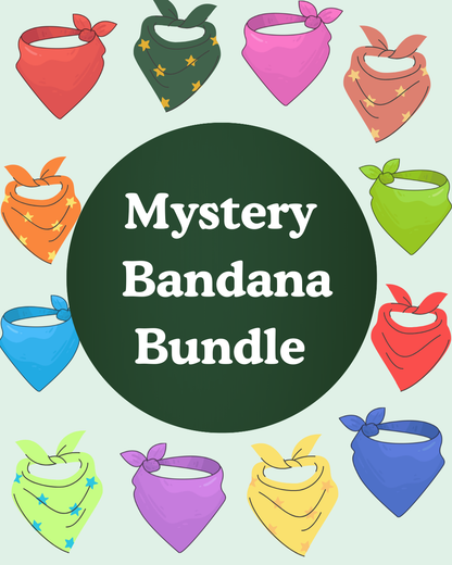 Mystery Bandana Bundle - Bandana Set of 3