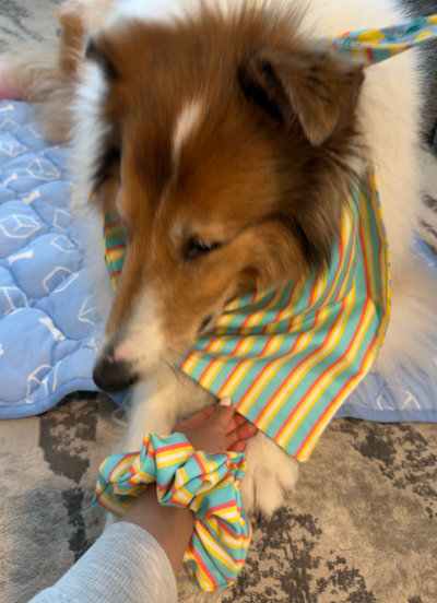 Beach Stripes Bandana or Bandana Scrunchie Set