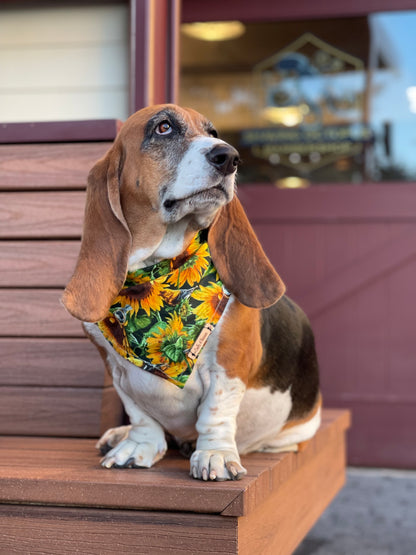 Green Sunflower Reversible Bandana