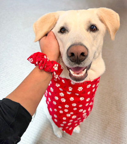 Lovely Paws Bandana or Bandana Scrunchie Set