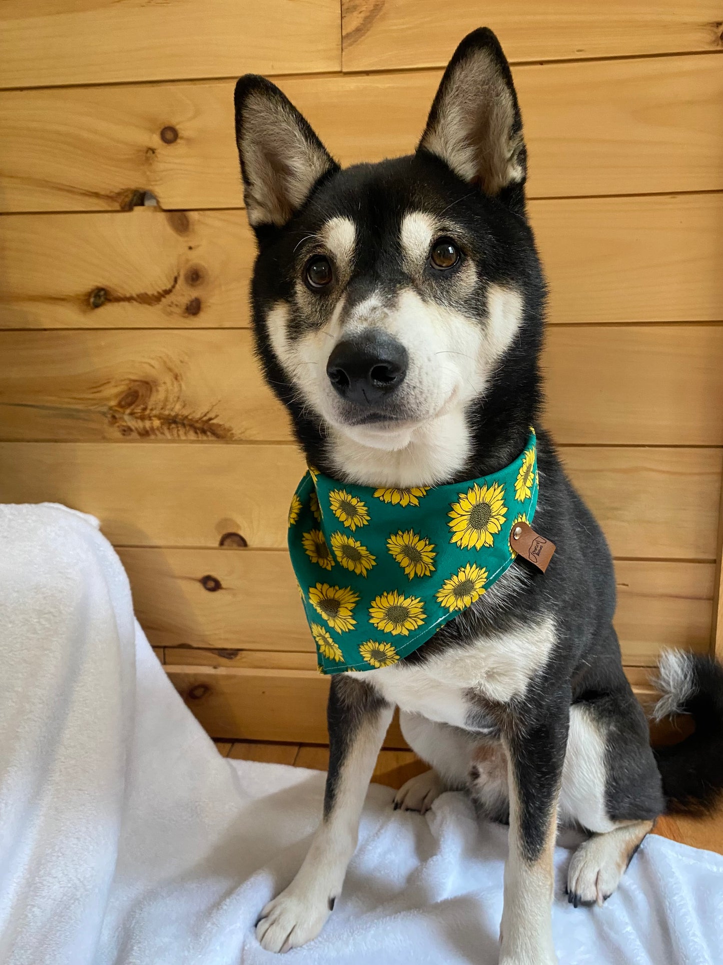 Green Sunflower Bandana