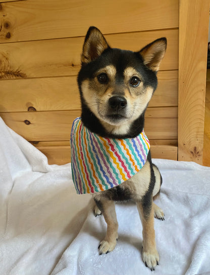 Pawsome Party Bandana or Bandana Scrunchie Set