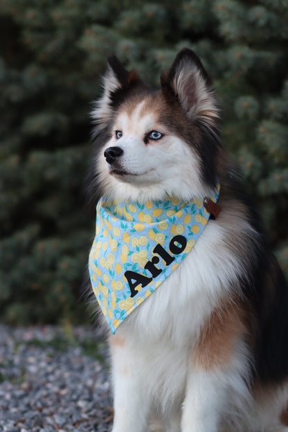 Bandana Name Add On