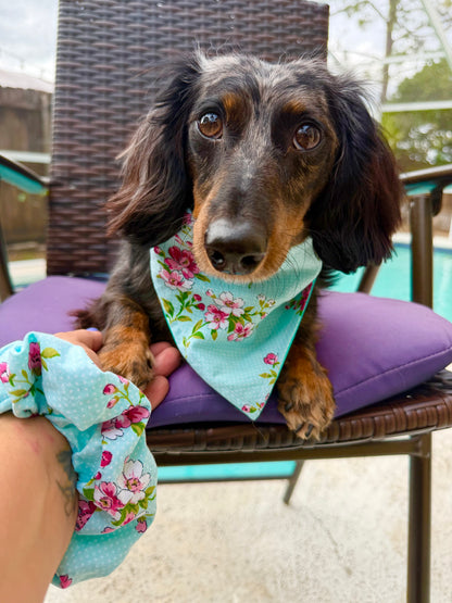 Light Blue Floral Bandana or Bandana Scrunchie Set