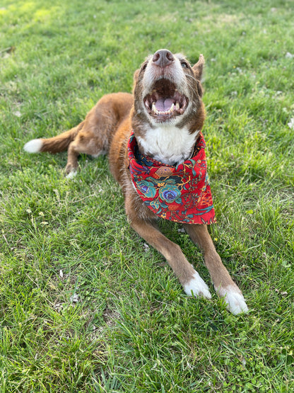 Ruby Floral Bandana or Bandana Scrunchie Set