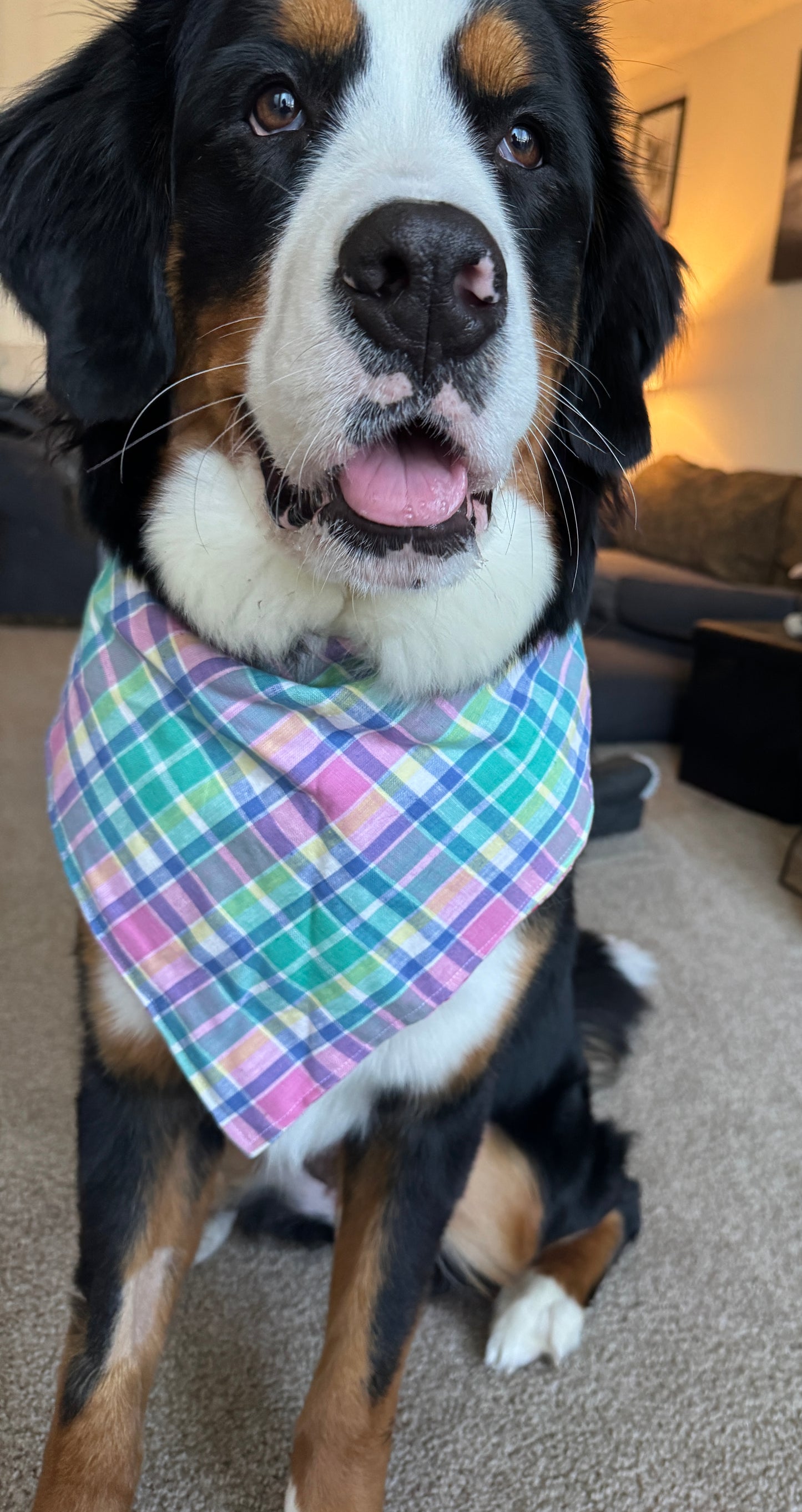 Pastel Plaid Bandana or Bandana Scrunchie Set