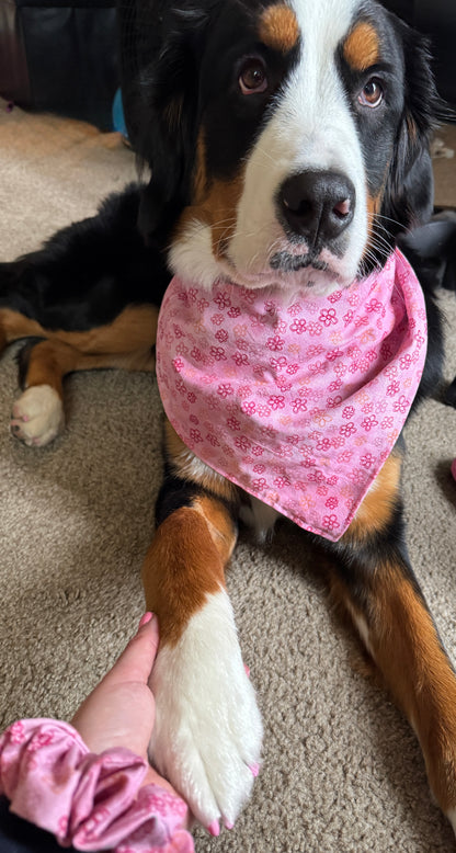 Scribbled Floral Bandana or Bandana Scrunchie Set