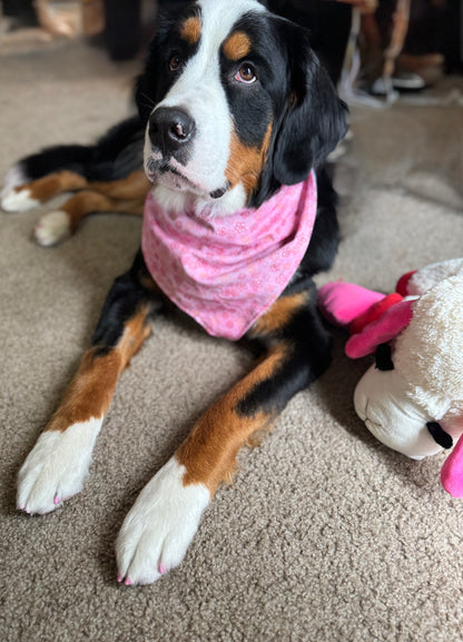 Scribbled Floral Bandana or Bandana Scrunchie Set