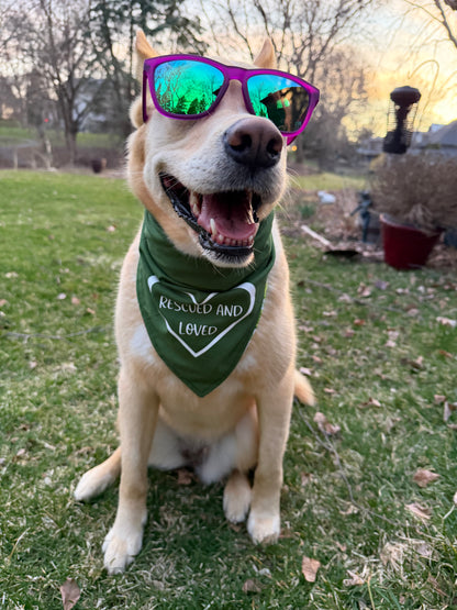 Rescued and Loved Bandana - Customizable