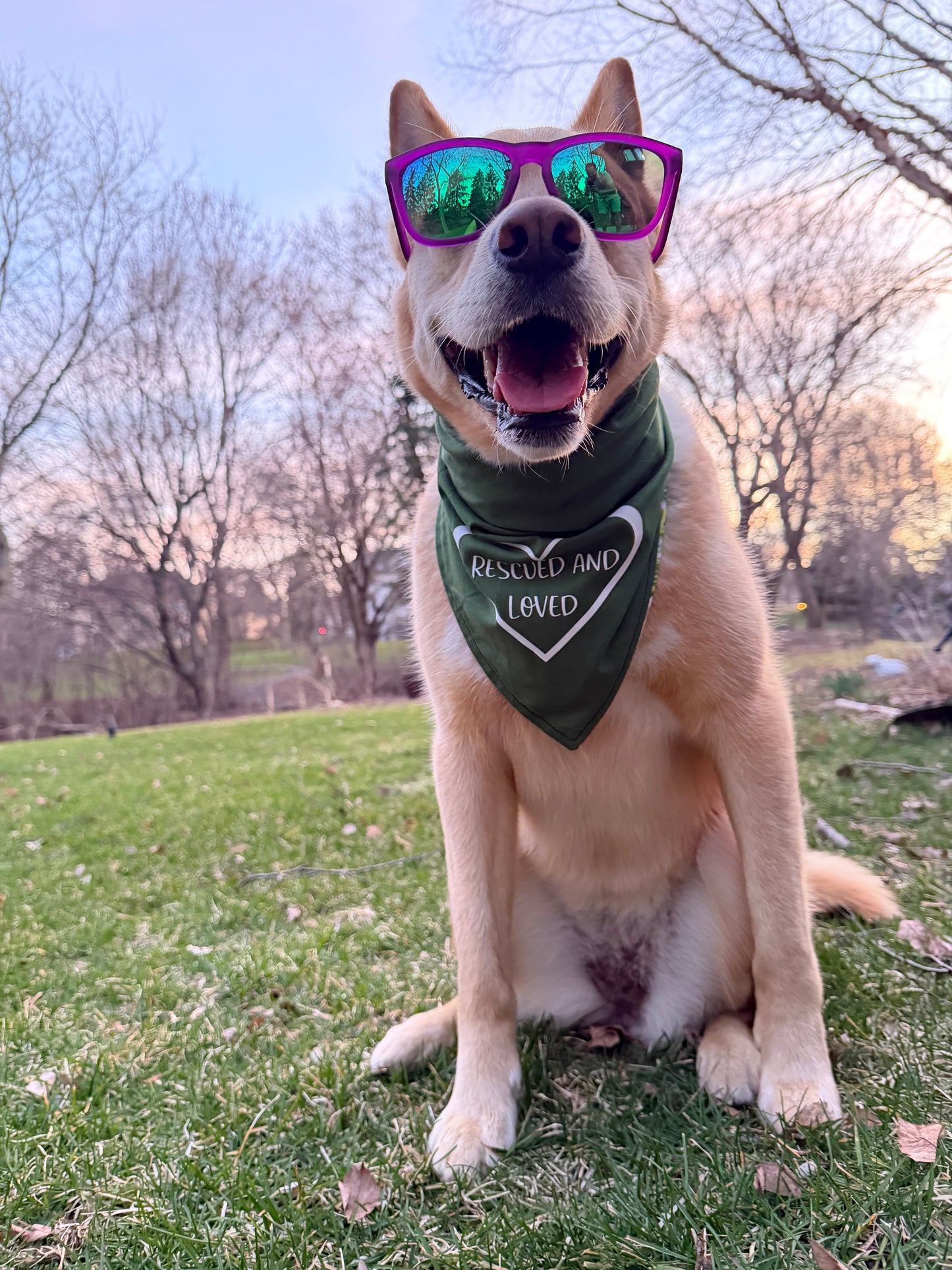 Rescued and Loved Bandana - Customizable