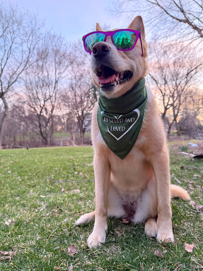 Rescued and Loved Bandana - Customizable