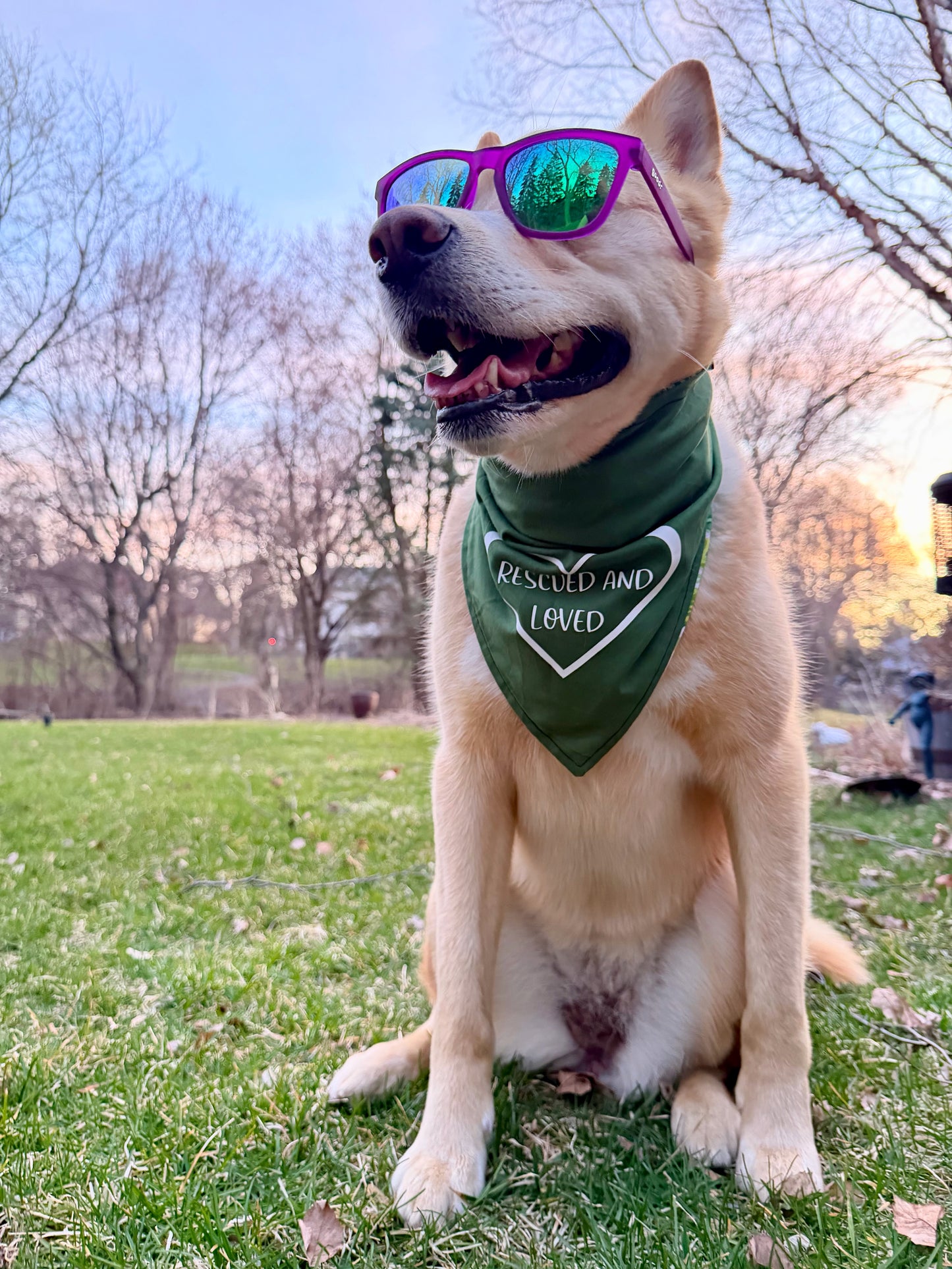 Rescued and Loved Bandana - Customizable