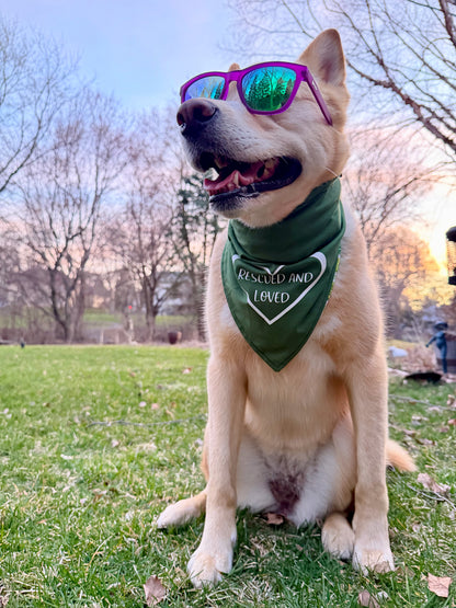 Rescued and Loved Bandana - Customizable