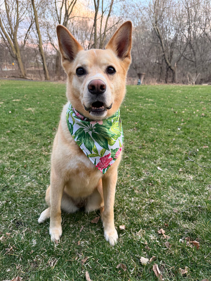 Beach Waves Bandana