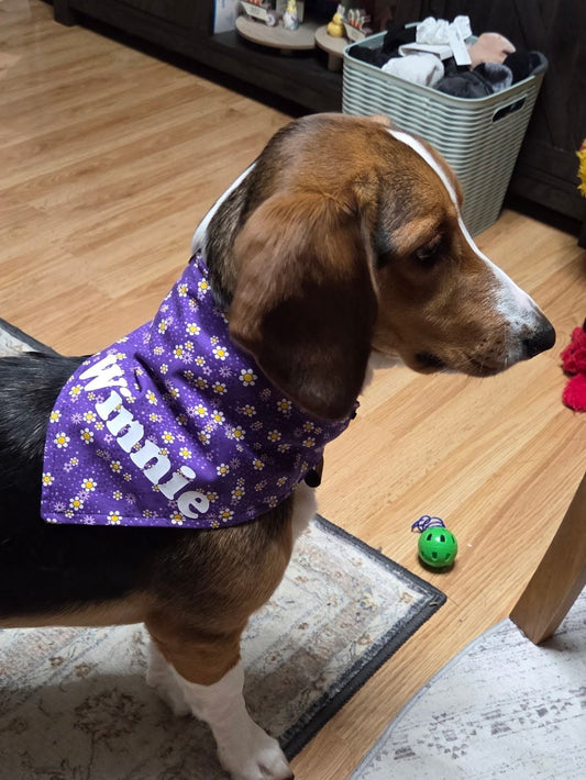 Purple Daisy Reversible Purple Ferns Bandana