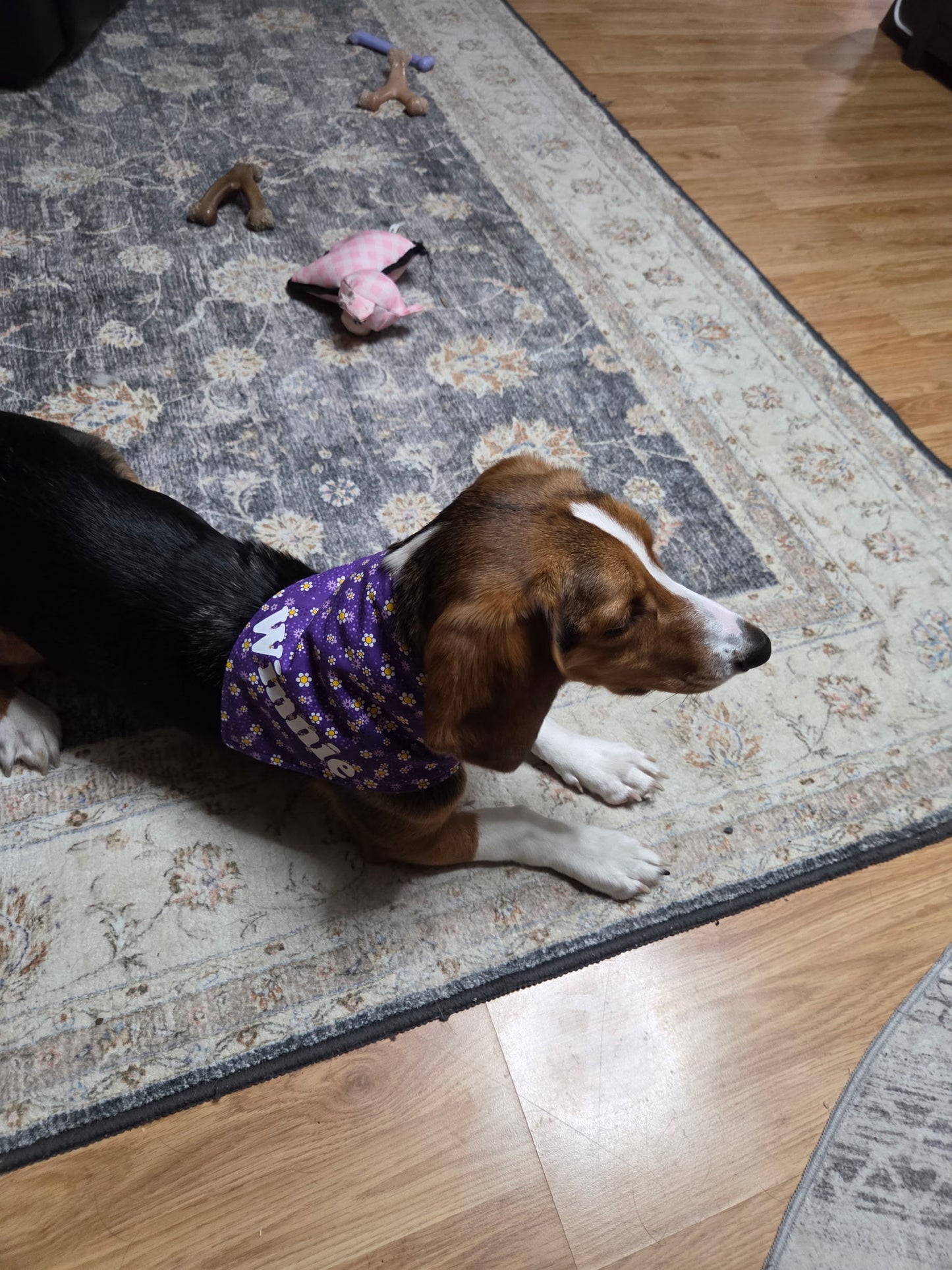 Purple Daisy Reversible Purple Ferns Bandana