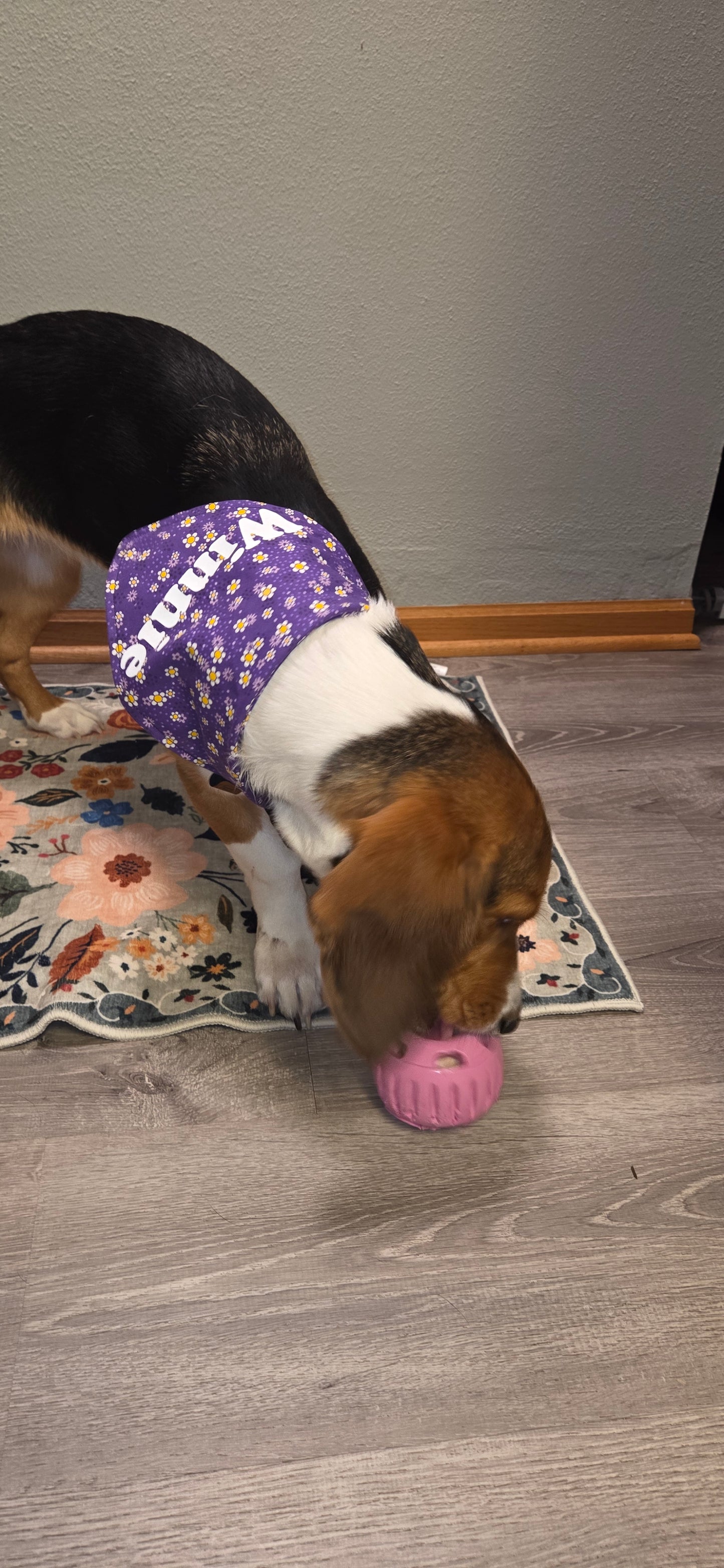 Purple Daisy Reversible Purple Ferns Bandana