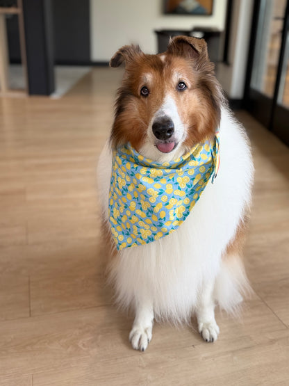 Lemon Bandana or Bandana Scrunchie Set