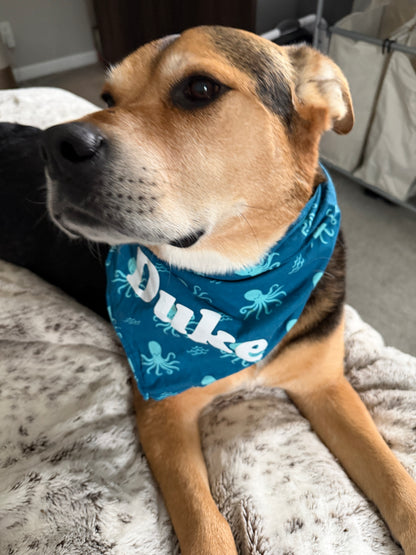 Calamari Special Bandana