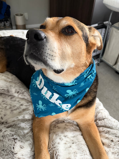 Calamari Special Bandana