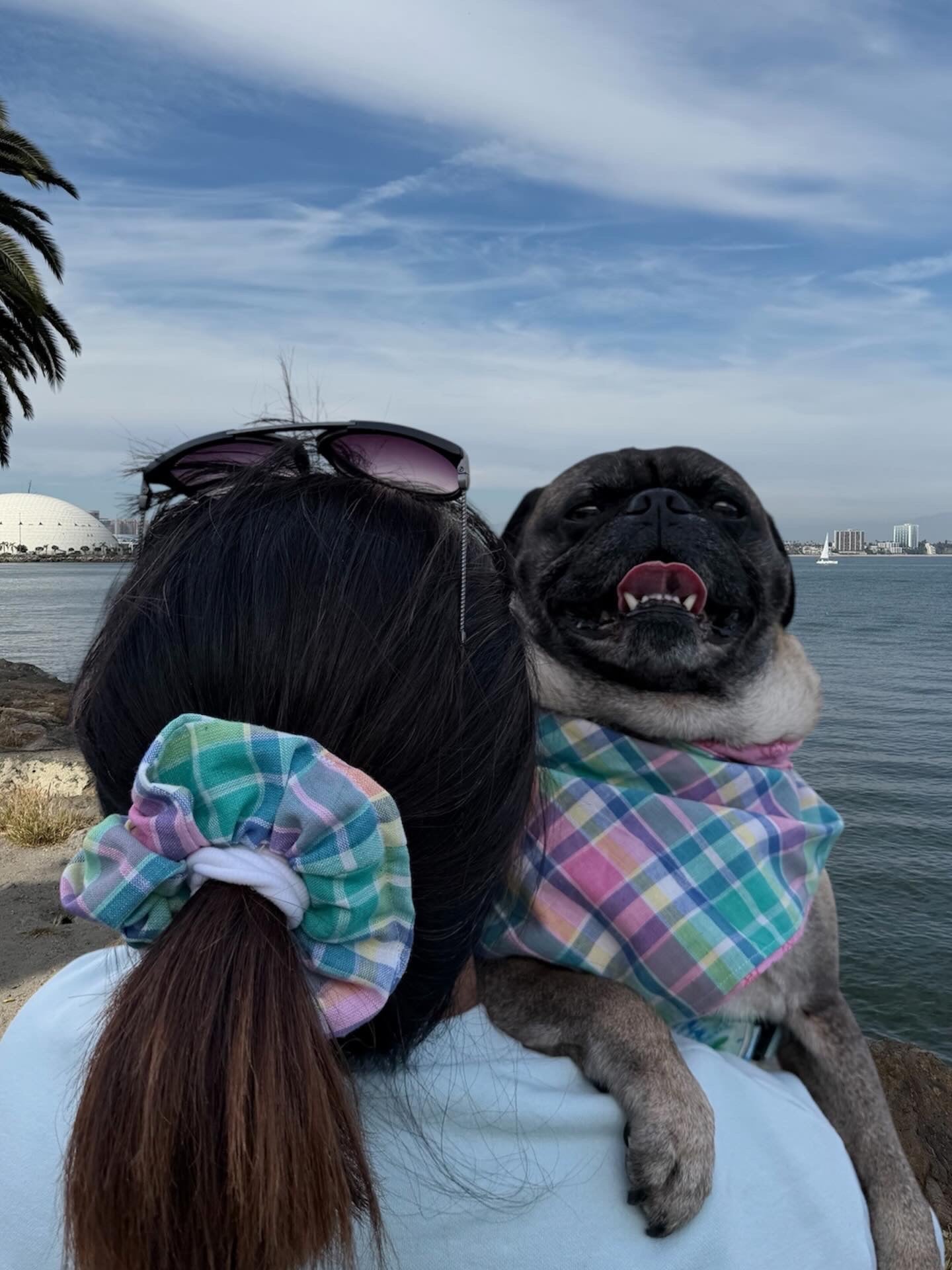 Pastel Plaid Bandana or Bandana Scrunchie Set