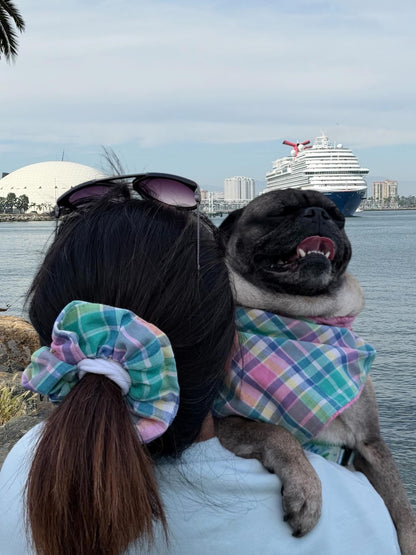 Pastel Plaid Bandana or Bandana Scrunchie Set