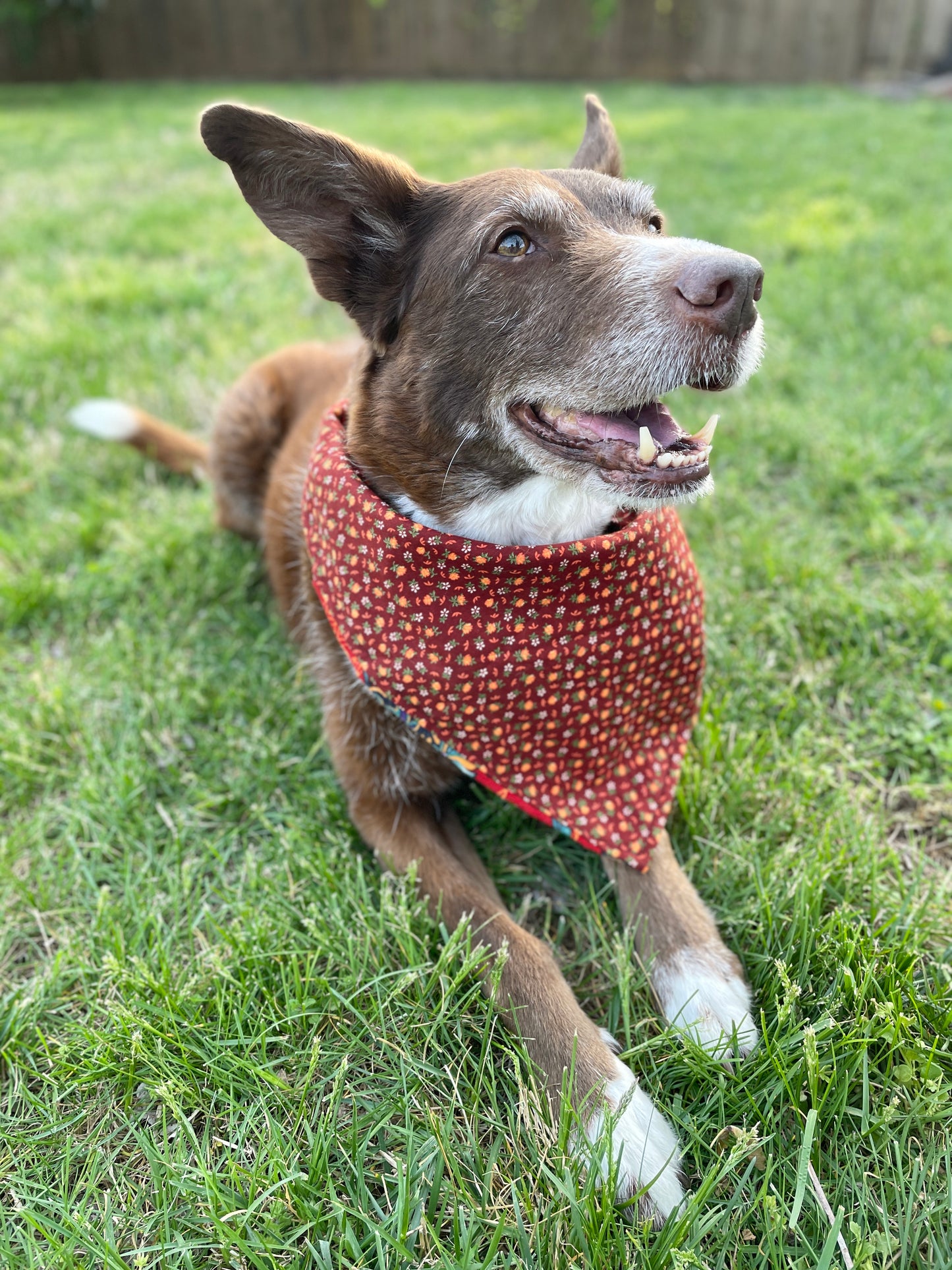 Orange Floral Bandana or Bandana Scrunchie Set
