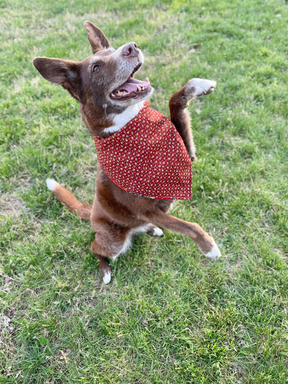 Orange Floral Bandana or Bandana Scrunchie Set