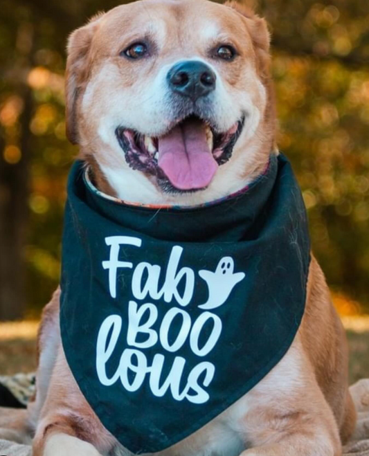 FabBooLous Bandana