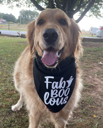 FabBooLous Bandana