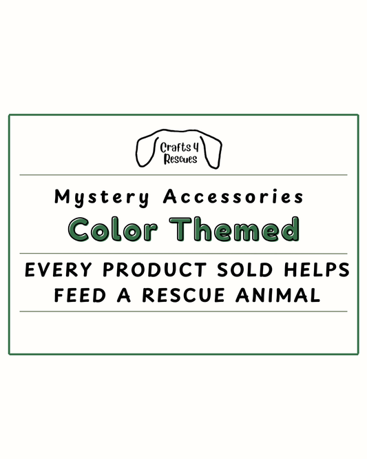 Mystery Accessories - Choose Your Color Theme