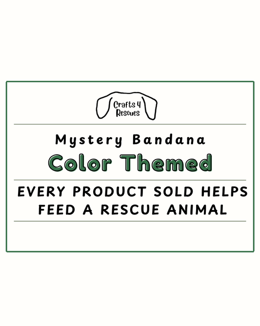 Mystery Bandana - Choose Your Color Theme