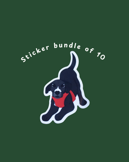 Dog Sticker Bundle -  Oreo the foster dog