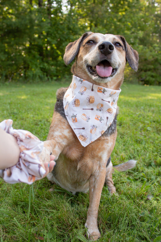 Honey Bandana Scrunchie Set