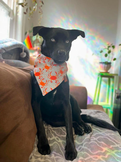 Feeling Crabby Bandana Crab Dog Bandana