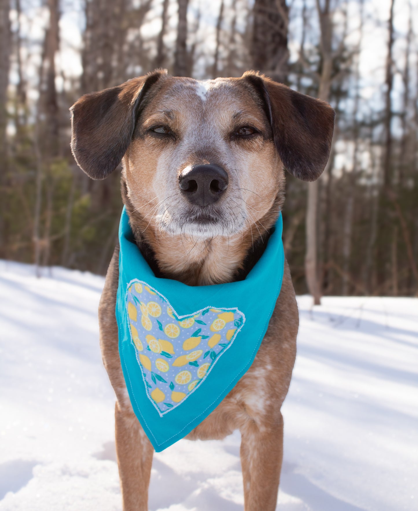 Lemon Teal Heart Bandana