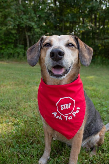 Stop In Training Reversible Ask to Pet Bandana - CK9 Collaboration Bandana