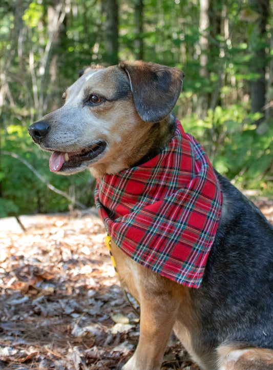 Red Plaid Bandana or Bandana Scrunchie Set