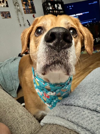 Best Friend Fur Ever Bandana